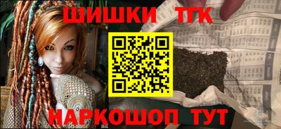 индика Пугачёв