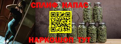 индика Пугачёв