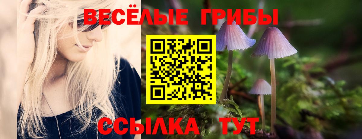 Псилоцибиновые грибы прущие грибы  купить наркотик  Вход с VPN  Ржев  Галлюциногенные грибы мицелий 