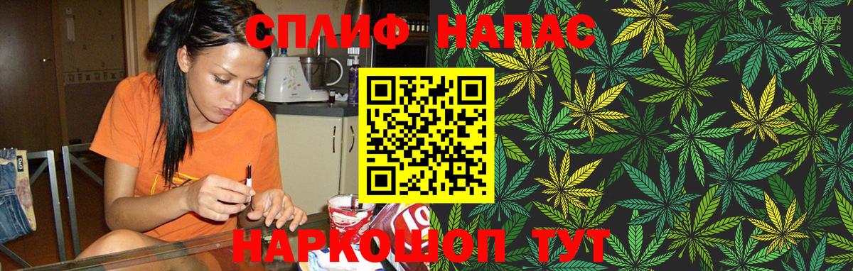 Каннабис планчик  Каннабис Bruce Banner  Ржев  Канабис OG Kush  Вход с VPN  Шишки марихуана гибрид 